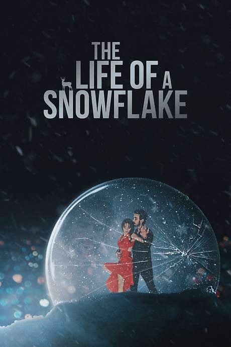 The Life of a Snowflake